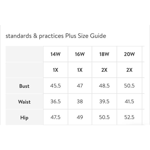 New ~ STANDARDS AND PRACTICES ~ Prairie Chiffon Dress- Gorg - SZ 1X - - Picture 6 of 7